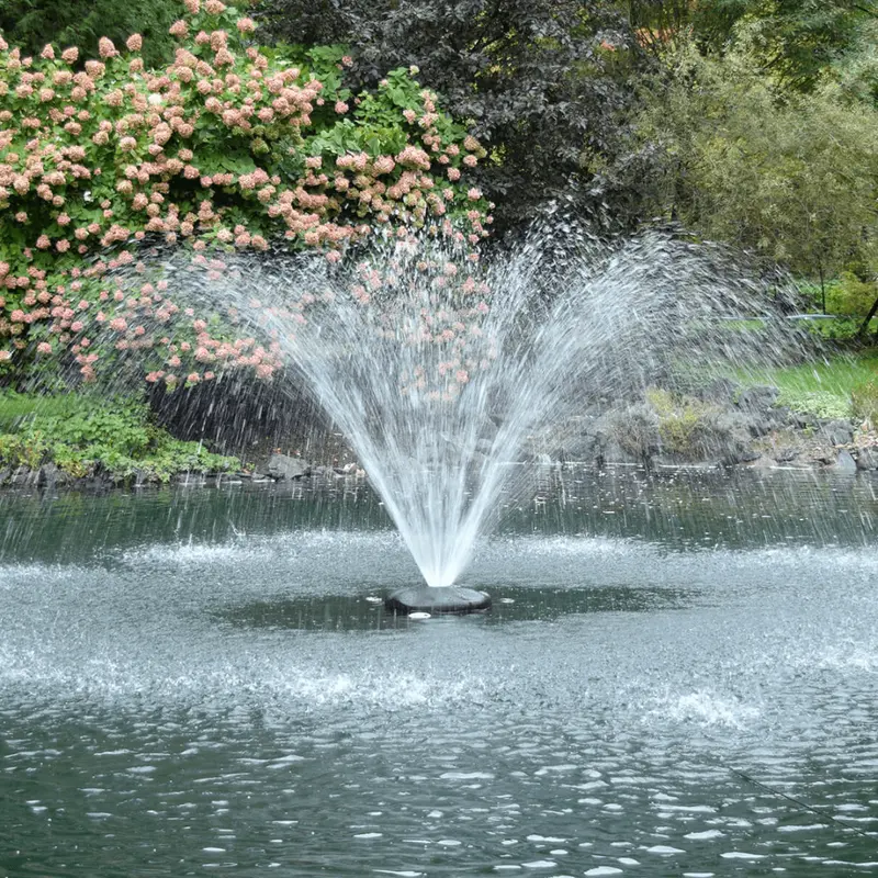 Easypro 1 Hp Aqua Fountain 1