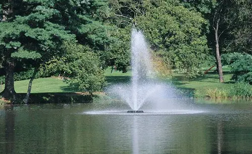 Otterbine Phoenix Floating Pond Fountain 1