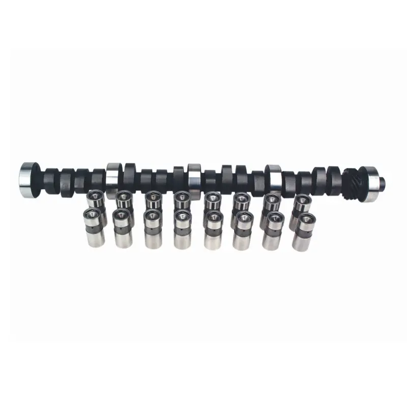 Lunati Hydraulic Lifters – Performance Replacement Set, Part 10310302Lk 1